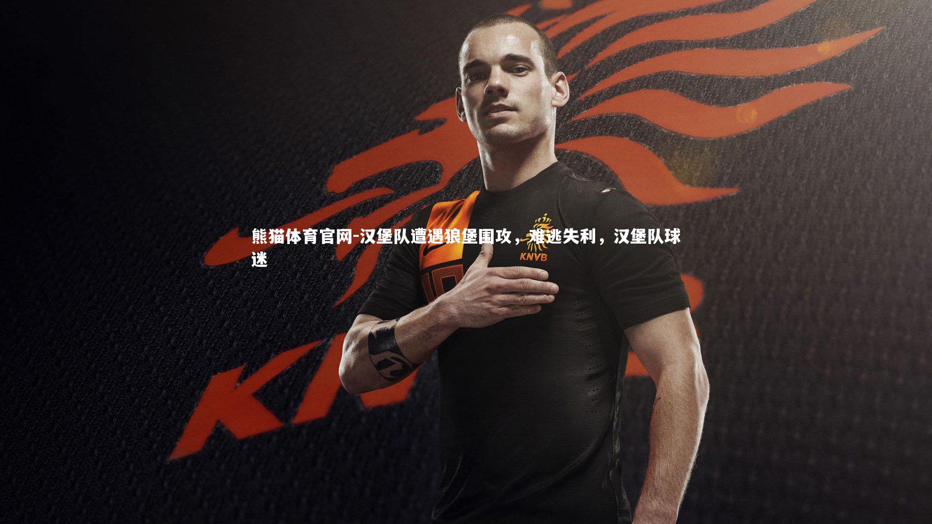 汉堡队遭遇狼堡围攻，难逃失利，汉堡队球迷