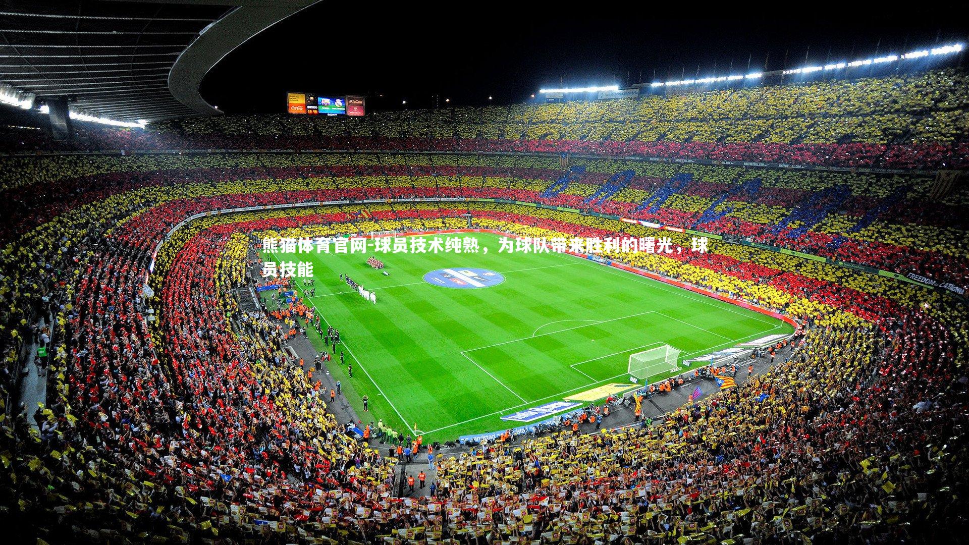 球员技术纯熟，为球队带来胜利的曙光，球员技能