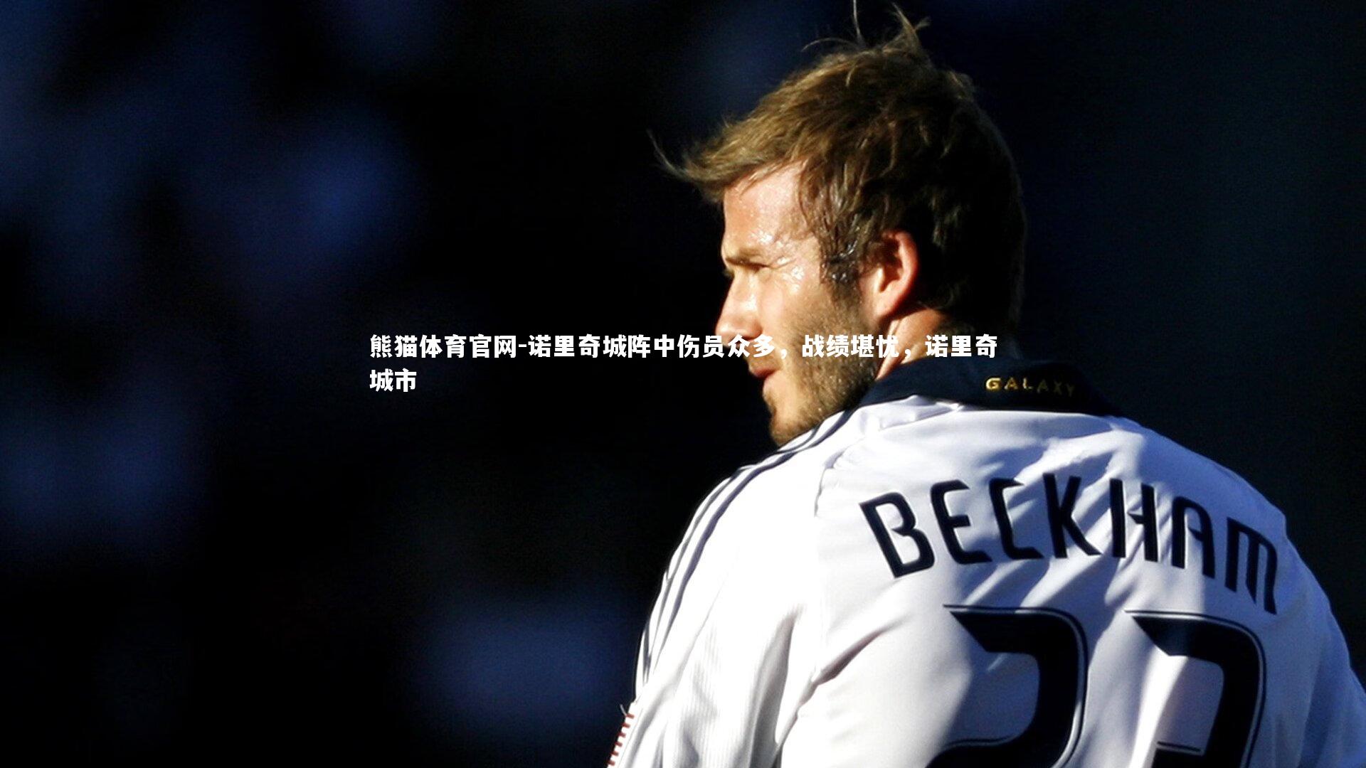 诺里奇城阵中伤员众多，战绩堪忧，诺里奇城市