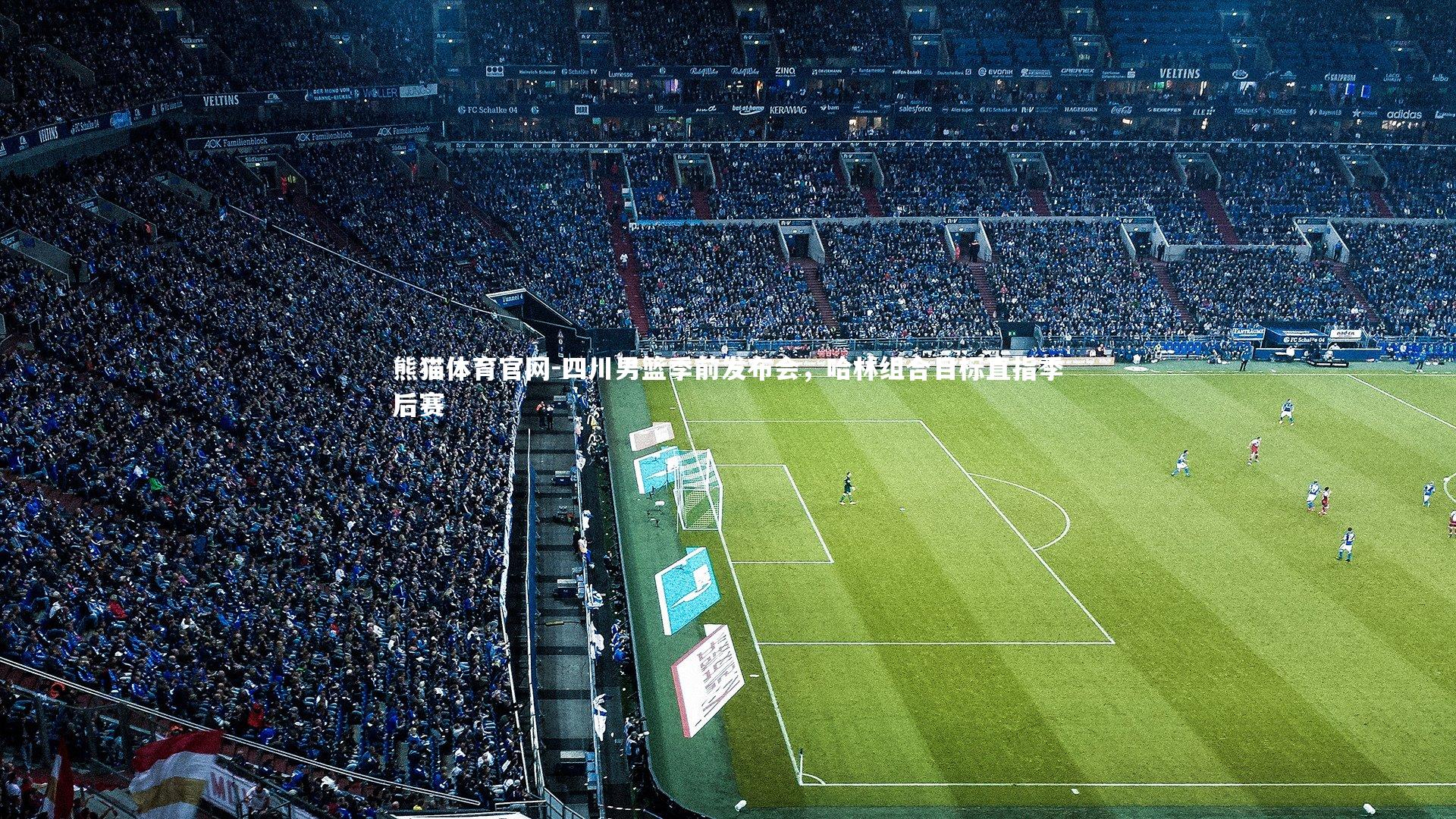 四川男篮季前发布会，哈林组合目标直指季后赛